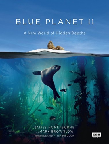 Документальный сериал BBC: Голубая планета 2 / Blue Planet 2 (2018) смотреть онлайн