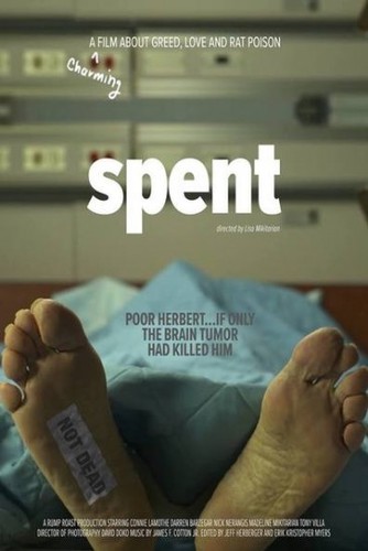 Фильм Удачно потраченные деньги / Spent (2018) смотреть онлайн
